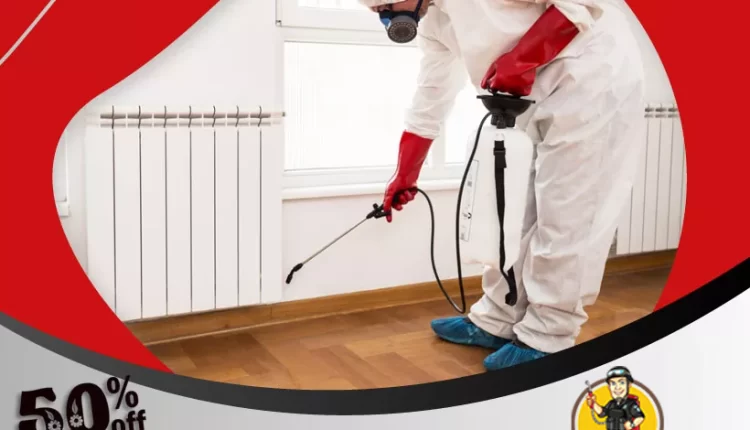 مكافحة حشرات أبو لحصانية